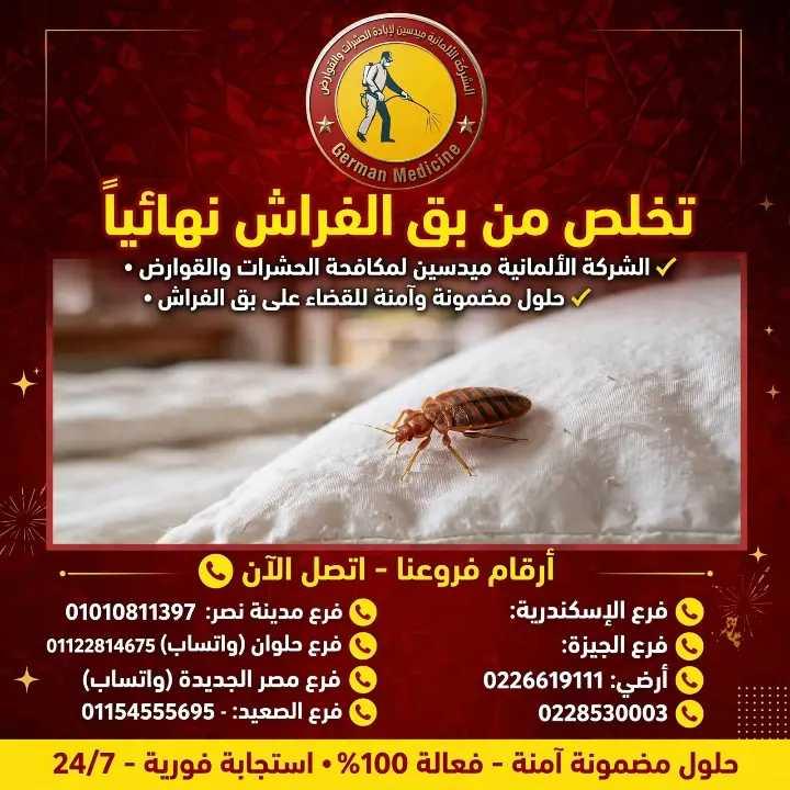 الشركه الألمانية ميدسين مكافحة الحشرات القوارض 