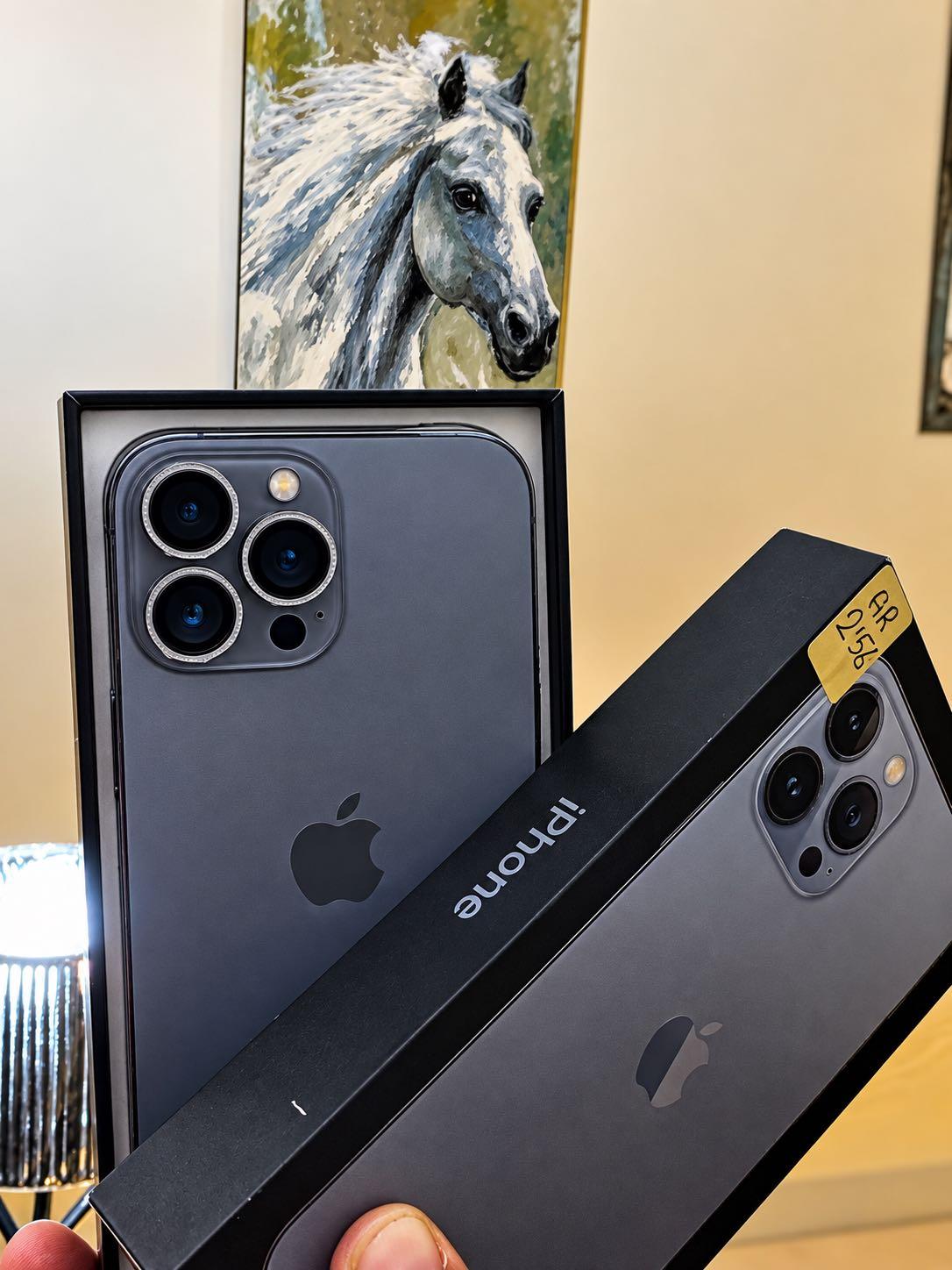 iPhone 13 Pro Max  — 1/3