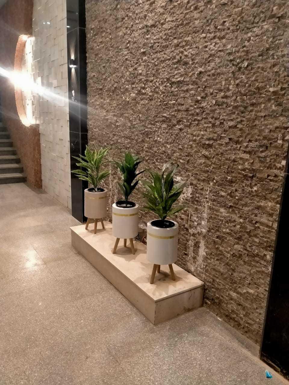 شقه 