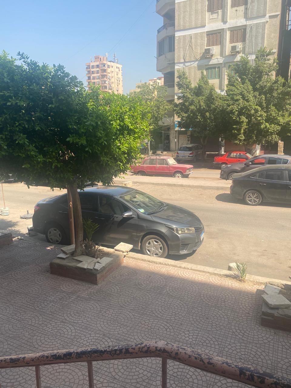 محل تجارى بمدينة نصر الحى السابع  — 1/4