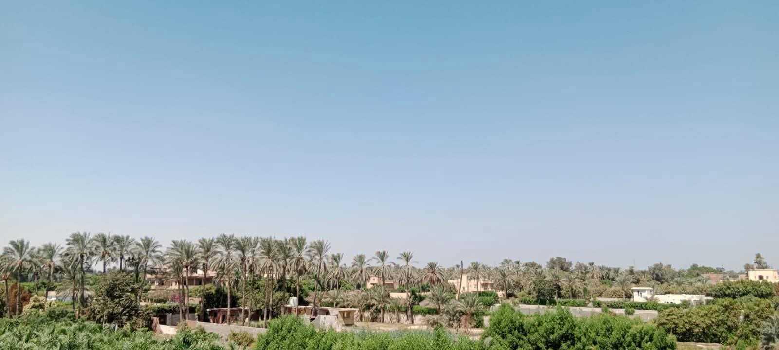 فيلا للبيع 
