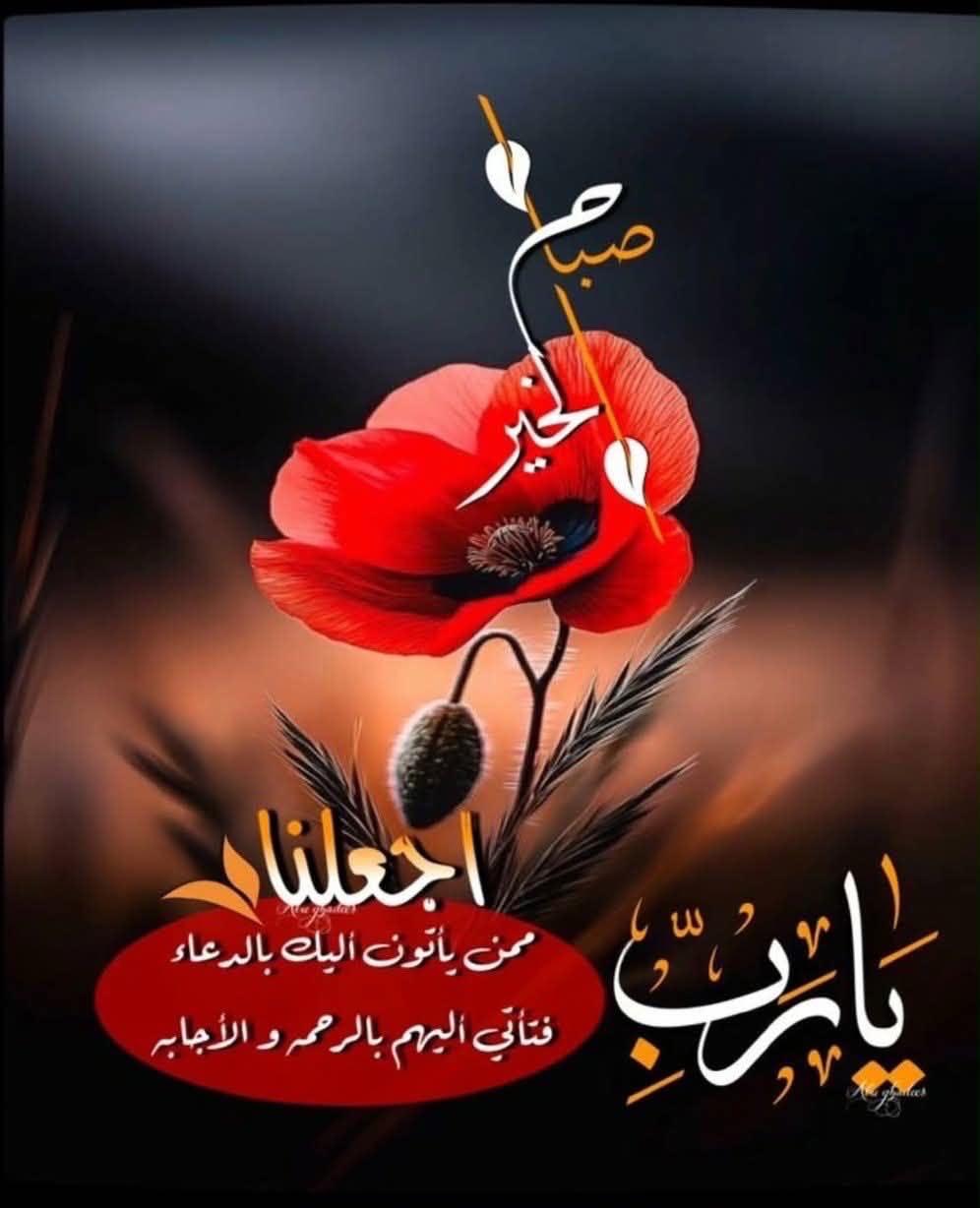 شقة  ١١٠ م