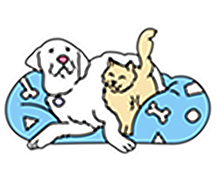 Pets — Souq Mazad